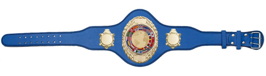 WORLD CHAMPIONSHIP BELT - PLT286/G/WORLD - AVAILABLE IN 4 COLOURS